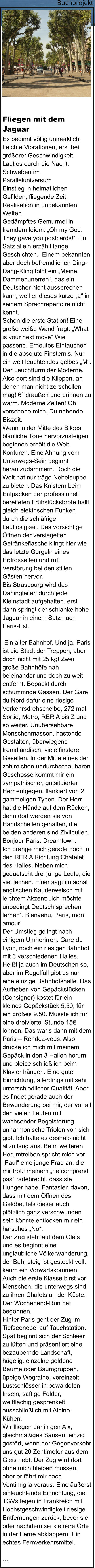 Fliegen mit dem Jaguar Es beginnt völlig unmerklich. Leichte Vibrationen, erst bei größerer Geschwindigkeit. Lautlos durch die Nacht. Schweben im Paralleluniversum. Einstieg in heimatlichen Gefilden, fliegende Zeit, Realisation in unbekannten Welten. Gedämpftes Gemurmel in fremdem Idiom: „Oh my God. They gave you postcards!“ Ein Satz allein erzählt lange Geschichten.  Einem bekannten aber doch befremdlichen Ding-Dang-Kling folgt ein „Meine Dammenunerren“, das ein Deutscher nicht aussprechen kann, weil er dieses kurze „a“ in seinem Sprachrepertoire nicht kennt. Schon die erste Station! Eine große weiße Wand fragt: „What is your next move“ Wie passend. Erneutes Eintauchen in die absolute Finsternis. Nur ein weit leuchtendes gelbes „M“. Der Leuchtturm der Moderne. Also dort sind die Klippen, an denen man nicht zerschellen mag! 6° draußen und drinnen zu warm. Moderne Zeiten! Oh verschone mich, Du nahende Eiszeit. Wenn in der Mitte des Bildes bläuliche Töne hervorzusteigen beginnen erhält die Welt Konturen. Eine Ahnung vom Unterwegs-Sein beginnt heraufzudämmern. Doch die Welt hat nur träge Nebelsuppe zu bieten. Das Knistern beim Entpacken der professionell bereiteten Frühstücksbrote hallt gleich elektrischen Funken durch die schläfrige Lautlosigkeit. Das vorsichtige Öffnen der versiegelten Getränkeflasche klingt hier wie das letzte Gurgeln eines Erdrosselten und ruft Verstörung bei den stillen Gästen hervor.  Bis Strasbourg wird das Dahingleiten durch jede Kleinstadt aufgehalten, erst dann springt der schlanke hohe Jaguar in einem Satz nach Paris-Est.   Ein alter Bahnhof. Und ja, Paris ist die Stadt der Treppen, aber doch nicht mit 25 kg! Zwei große Bahnhöfe nah beieinander und doch zu weit entfernt. Bepackt durch schummrige Gassen. Der Gare du Nord dafür eine riesige Verkehrsdrehscheibe, 272 mal Sortie, Metro, RER A bis Z und so weiter. Unübersehbare Menschenmassen, hastende Gestalten, überwiegend fremdländisch, viele finstere Gesellen. In der Mitte eines der zahlreichen undurchschaubaren Geschosse kommt mir ein sympathischer, gutsituierter Herr entgegen, flankiert von 2 gammeligen Typen. Der Herr hat die Hände auf dem Rücken, denn dort werden sie von Handschellen gehalten, die beiden anderen sind Zivilbullen. Bonjour Paris, Dreamtown. Ich dränge mich gerade noch in den RER A Richtung Chatelet des Halles. Neben mich gequetscht drei junge Leute, die viel lachen. Einer sagt im sonst englischen Kauderwelsch mit leichtem Akzent: „Ich möchte unbedingt Deutsch sprechen lernen“. Bienvenu, Paris, mon amour! Der Umstieg gelingt nach einigem Umherirren. Gare du Lyon, noch ein riesiger Bahnhof mit 3 verschiedenen Halles. Heißt ja auch im Deutschen so, aber im Regelfall gibt es nur eine einzige Bahnhofshalle. Das Aufheben von Gepäckstücken (Consigner) kostet für ein kleines Gepäckstück 5,50, für ein großes 9,50. Müsste ich für eine dreiviertel Stunde 15€ löhnen. Das war’s dann mit dem Paris – Rendez-vous. Also drücke ich mich mit meinem Gepäck in den 3 Hallen herum und bleibe schließlich beim Klavier hängen. Eine gute Einrichtung, allerdings mit sehr unterschiedlicher Qualität. Aber es findet gerade auch der Bewunderung bei mir, der vor all den vielen Leuten mit wachsender Begeisterung unharmonische Triolen von sich gibt. Ich halte es deshalb nicht allzu lang aus. Beim weiteren Herumtreiben spricht mich vor „Paul“ eine junge Frau an, die mir trotz meinem „ne comprend pas“ radebrecht, dass sie Hunger habe. Fantasien davon, dass mit dem Öffnen des Geldbeutels dieser auch plötzlich ganz verschwunden sein könnte entlocken mir ein harsches „No“. Der Zug steht auf dem Gleis und es beginnt eine unglaubliche Völkerwanderung, der Bahnsteig ist gesteckt voll, kaum ein Vorwärtskommen. Auch die erste Klasse birst vor Menschen, die unterwegs sind zu ihren Chalets an der Küste. Der Wochenend-Run hat begonnen. Hinter Paris geht der Zug im Tiefseenebel auf Tauchstation.  Spät beginnt sich der Schleier zu lüften und präsentiert eine bezaubernde Landschaft, hügelig, einzelne goldene Bäume oder Baumgruppen, üppige Wegraine, vereinzelt Lustschlösser in bewaldeten Inseln, saftige Felder, weitflächig gesprenkelt ausschließlich mit Albino-Kühen. Wir fliegen dahin gen Aix, gleichmäßiges Sausen, einzig gestört, wenn der Gegenverkehr uns gut 20 Zentimeter aus dem Gleis hebt. Der Zug wird dort ohne mich bleiben müssen, aber er fährt mir nach Ventimiglia voraus. Eine äußerst einleuchtende Einrichtung, die TGVs legen in Frankreich mit Höchstgeschwindigkeit riesige Entfernungen zurück, bevor sie oder nachdem sie kleinere Orte in der Ferne abklappern. Ein echtes Fernverkehrsmittel.  …  Buchprojekt